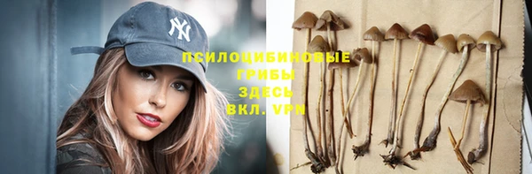 прущие крисы Алексин