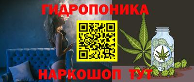 мдпв Севастополь