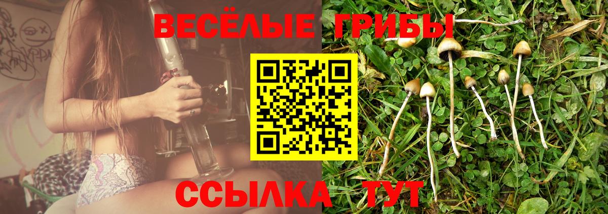 наркота  Вход с VPN  Углич  Псилоцибиновые грибы прущие грибы 